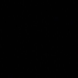 Meet your Posher, Jesse